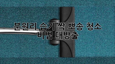 🏡 분원리 습기 싹! 뽀송 청소 비법 대방출 ✨